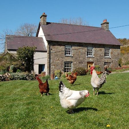 Vila Nantgwynfaen Organic Farm Wales Llandysul Exteriér fotografie