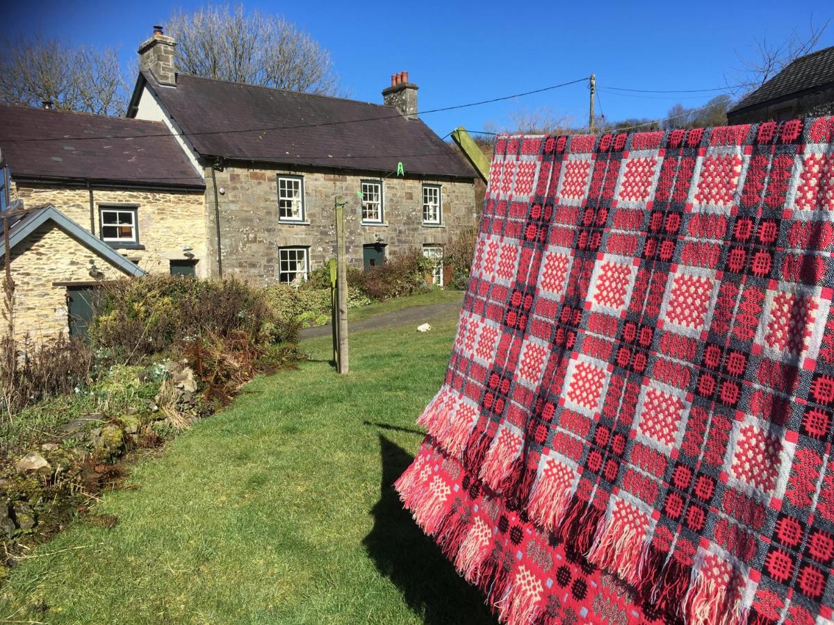 Vila Nantgwynfaen Organic Farm Wales Llandysul Exteriér fotografie