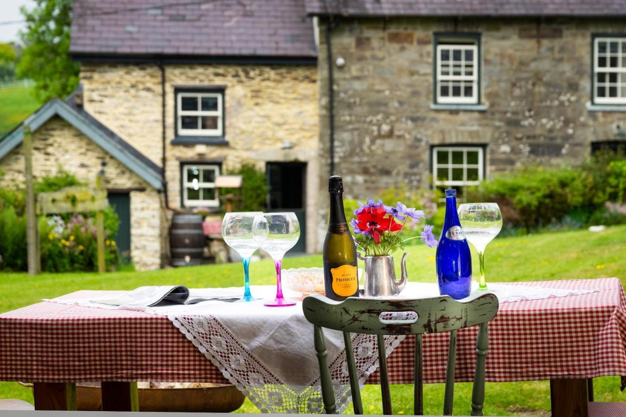 Vila Nantgwynfaen Organic Farm Wales Llandysul Exteriér fotografie