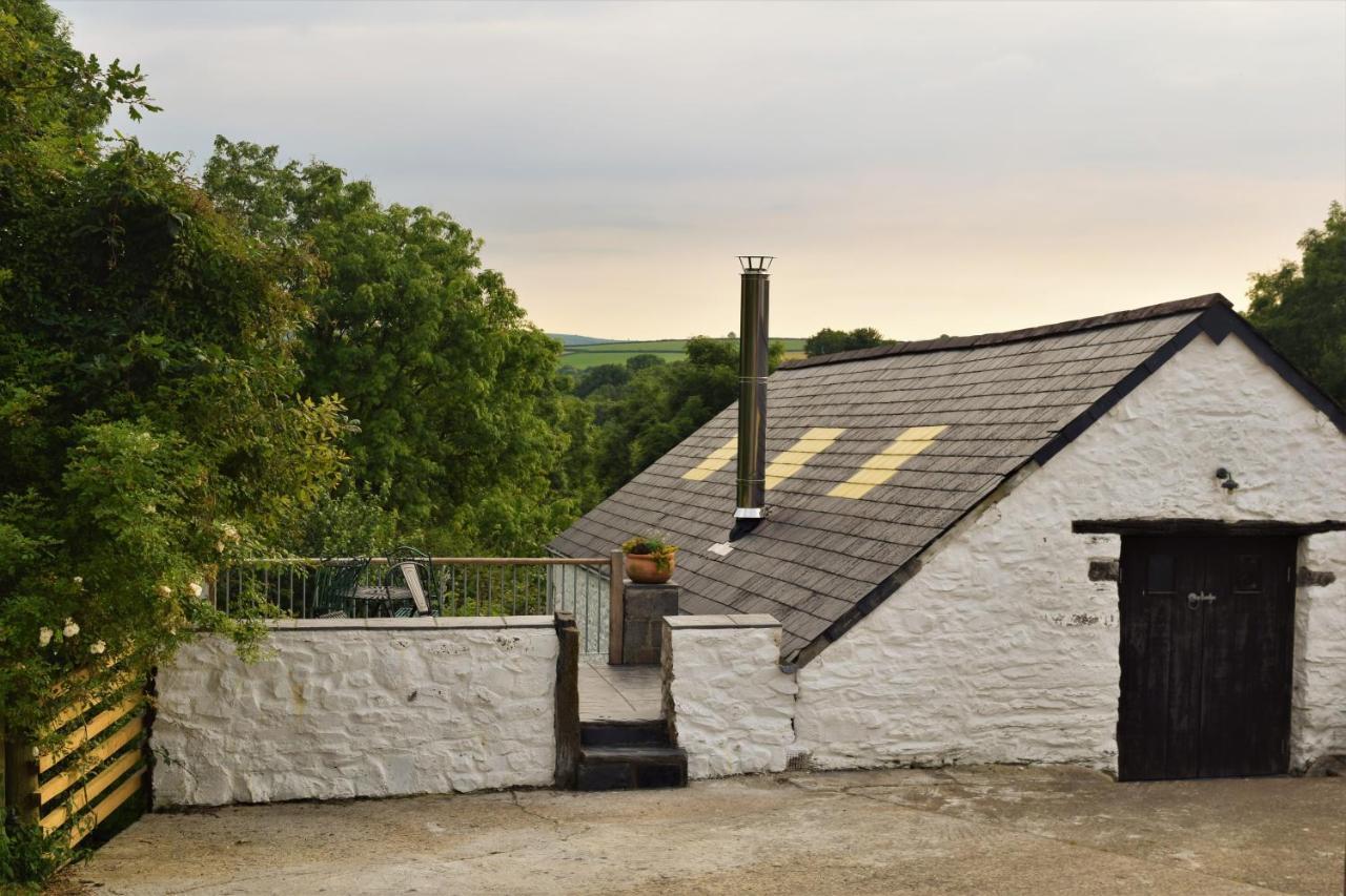 Vila Nantgwynfaen Organic Farm Wales Llandysul Exteriér fotografie