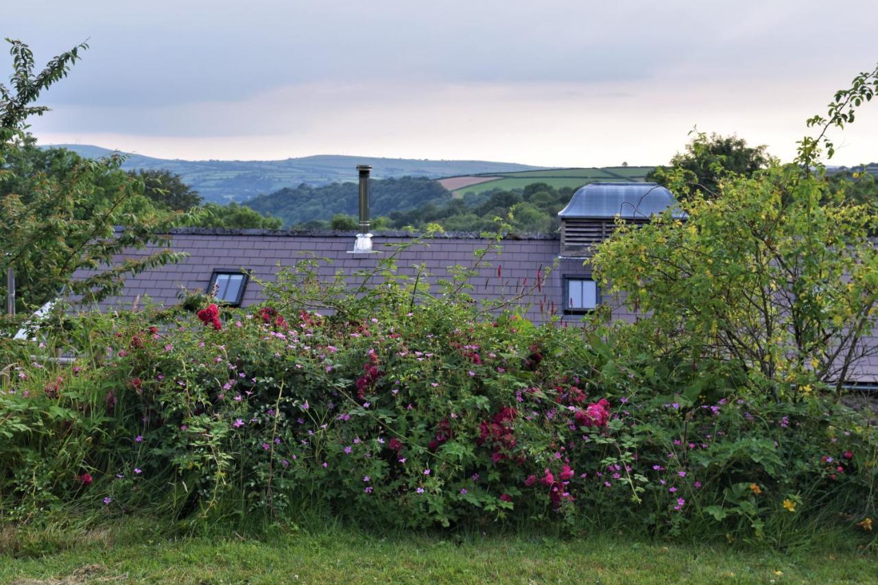 Vila Nantgwynfaen Organic Farm Wales Llandysul Exteriér fotografie