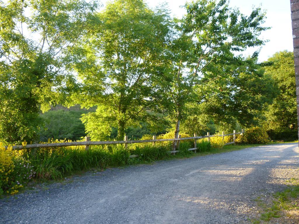 Vila Nantgwynfaen Organic Farm Wales Llandysul Exteriér fotografie