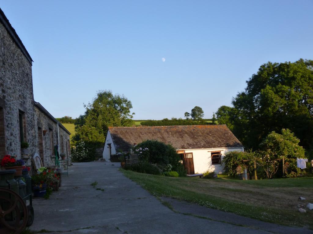 Vila Nantgwynfaen Organic Farm Wales Llandysul Exteriér fotografie