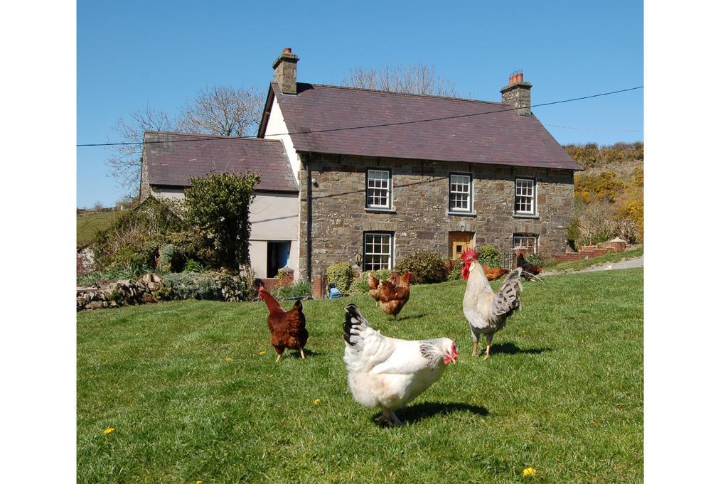 Vila Nantgwynfaen Organic Farm Wales Llandysul Exteriér fotografie