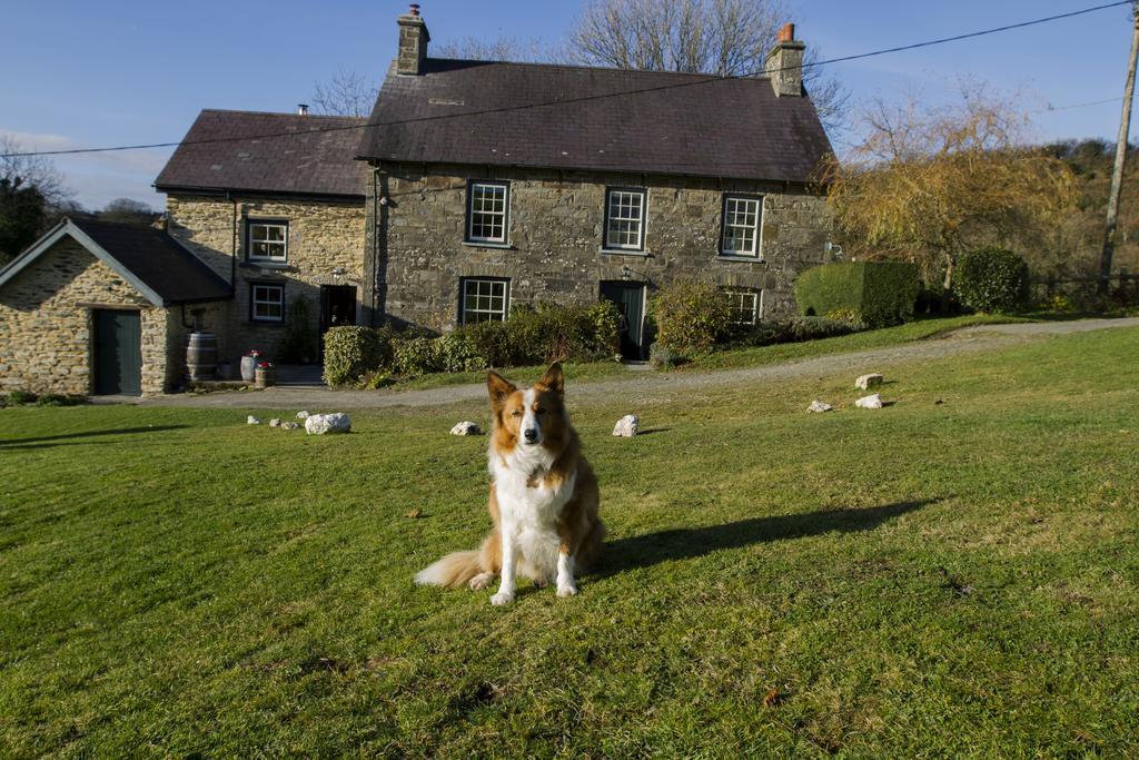 Vila Nantgwynfaen Organic Farm Wales Llandysul Exteriér fotografie